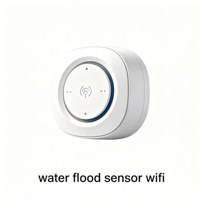 Sensore acqua seminterrato Wifi